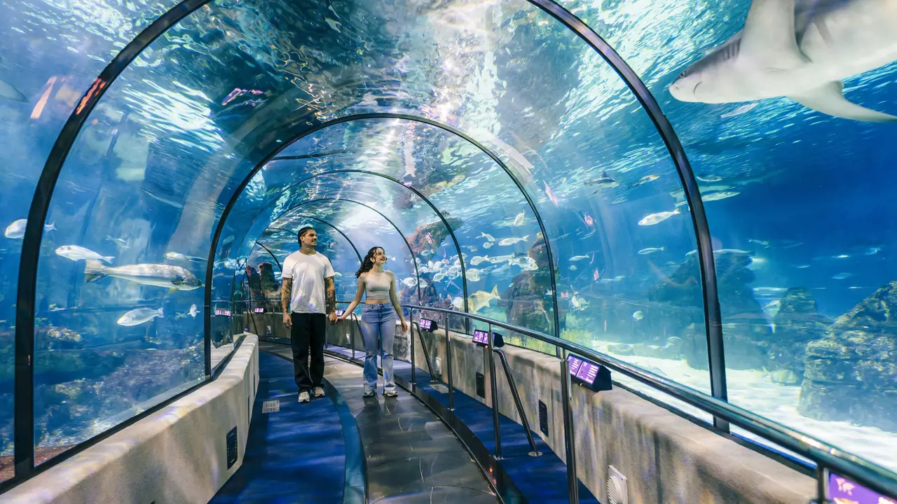 Barcelona Aquarium Ticket – Bild 4