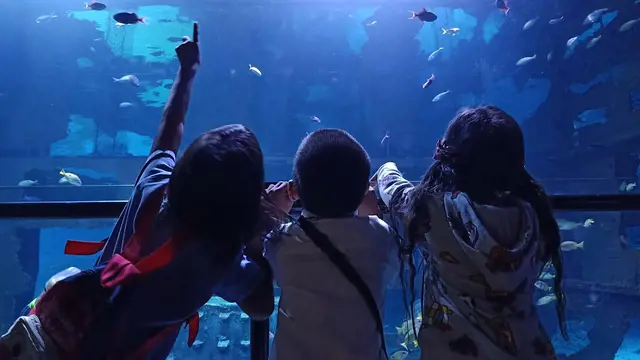 Aquaria Phuket