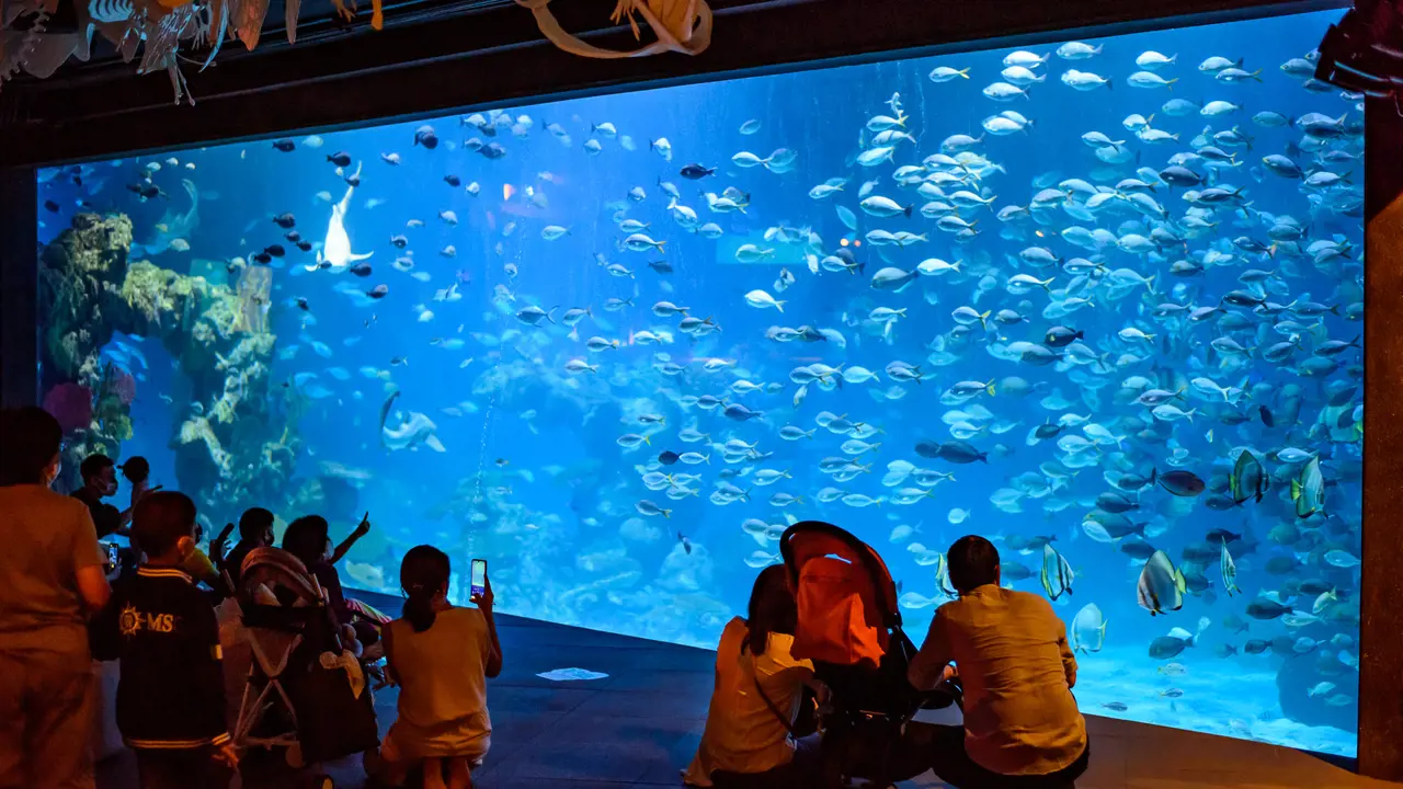 Aquaria Phuket – Bild 3