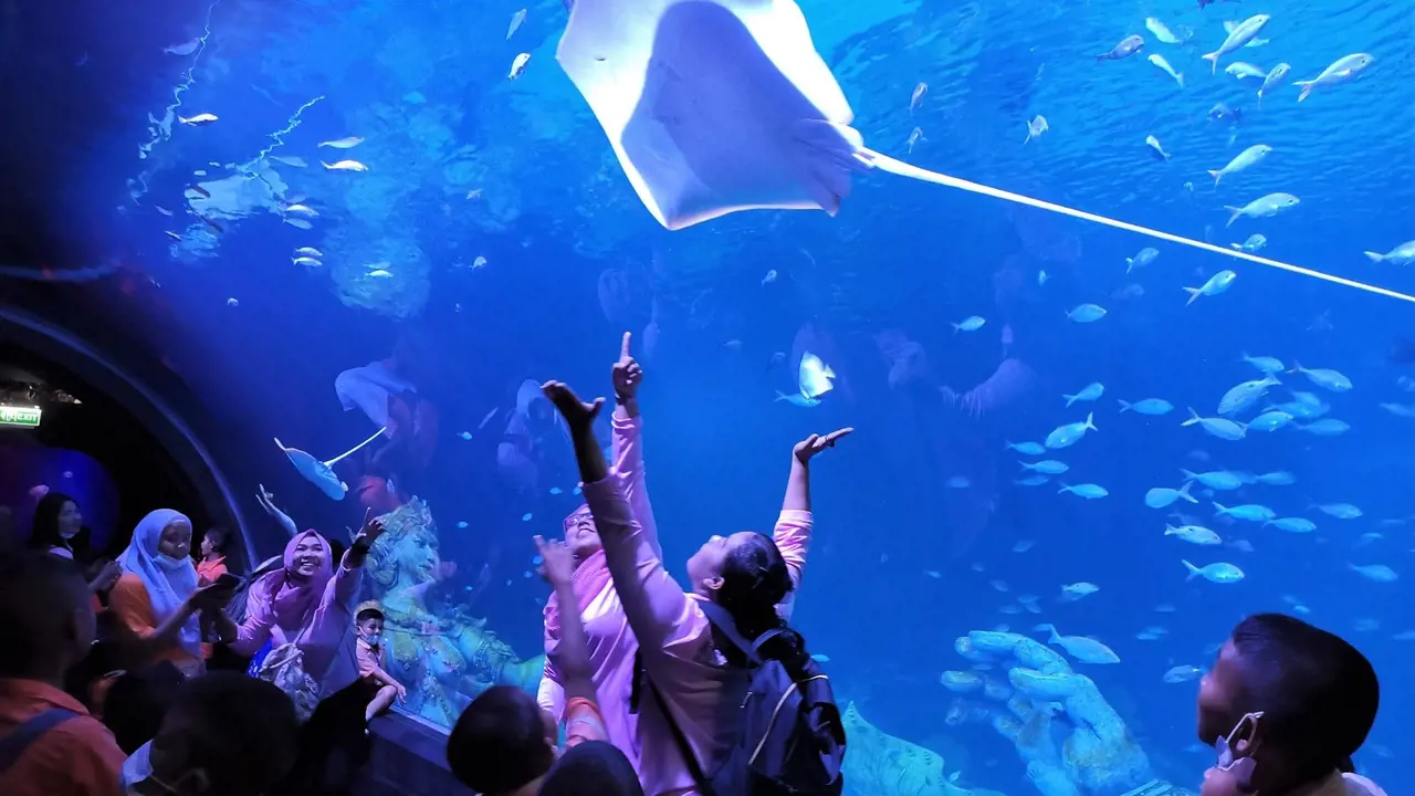 Aquaria Phuket – Bild 5