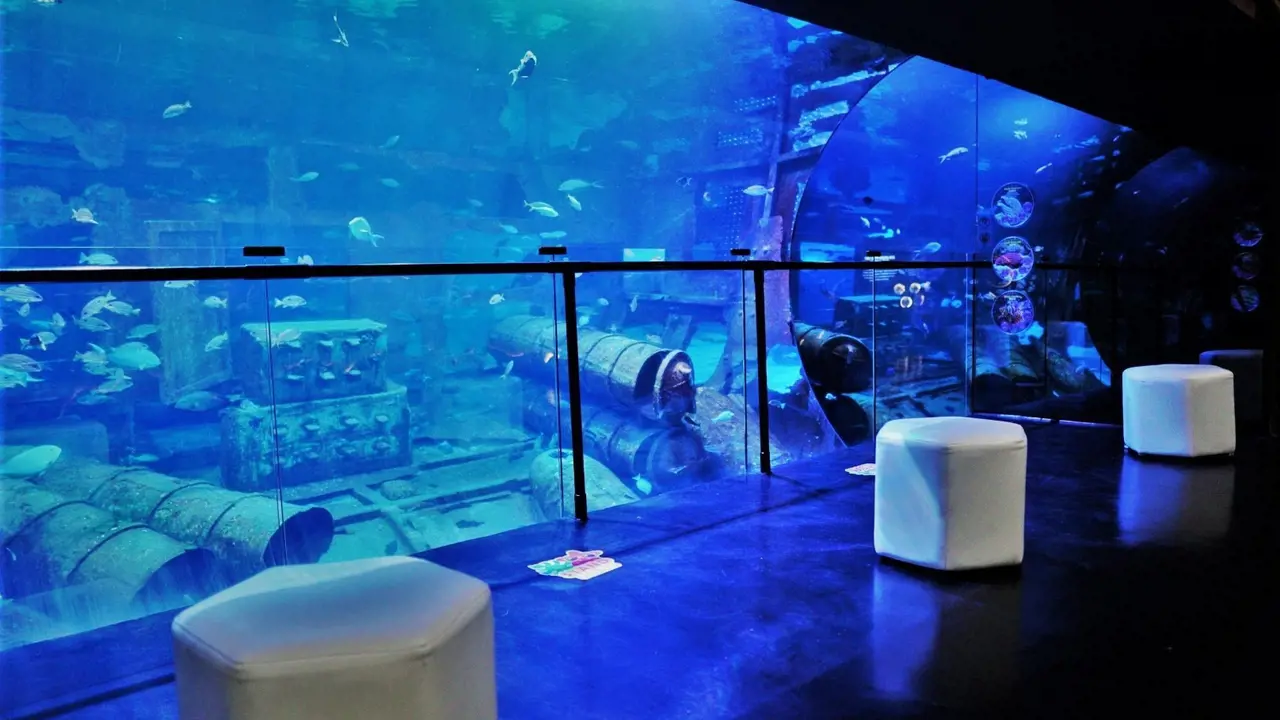 Aquaria Phuket – Bild 6
