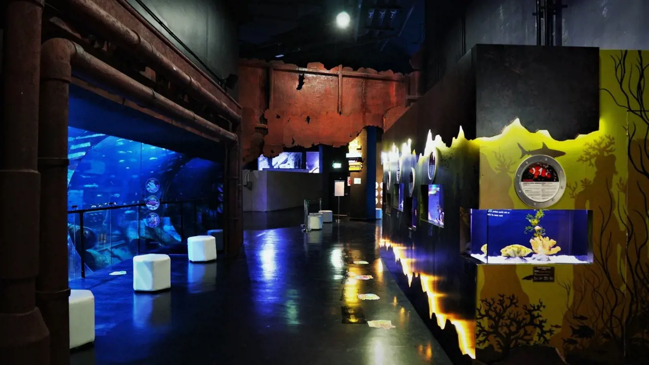 Aquaria Phuket – Bild 8
