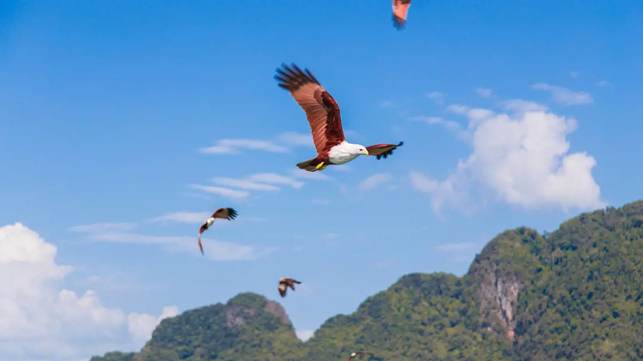 James Bond Island, Phang-Nga Bay, Hong Island, and Khai Island Tour from Phuket – Bild 6