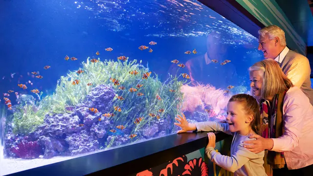 SEA LIFE London Aquarium Ticket