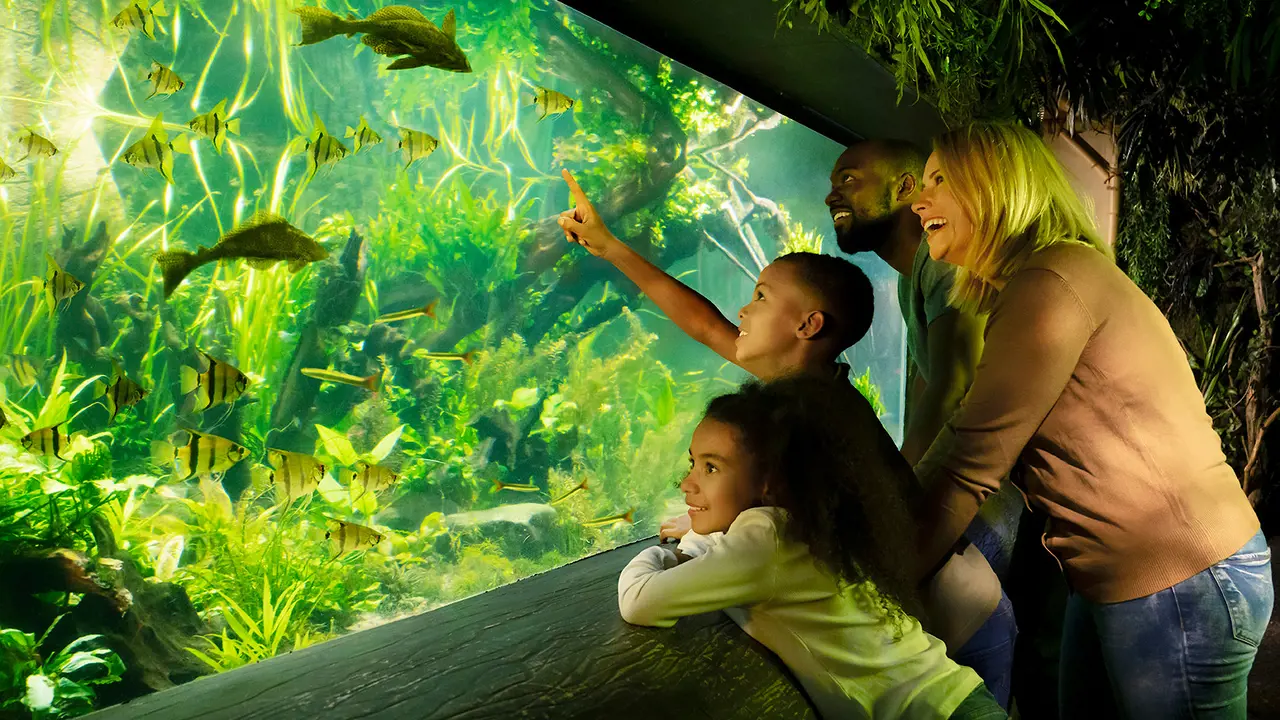 SEA LIFE London Aquarium Ticket – Bild 5