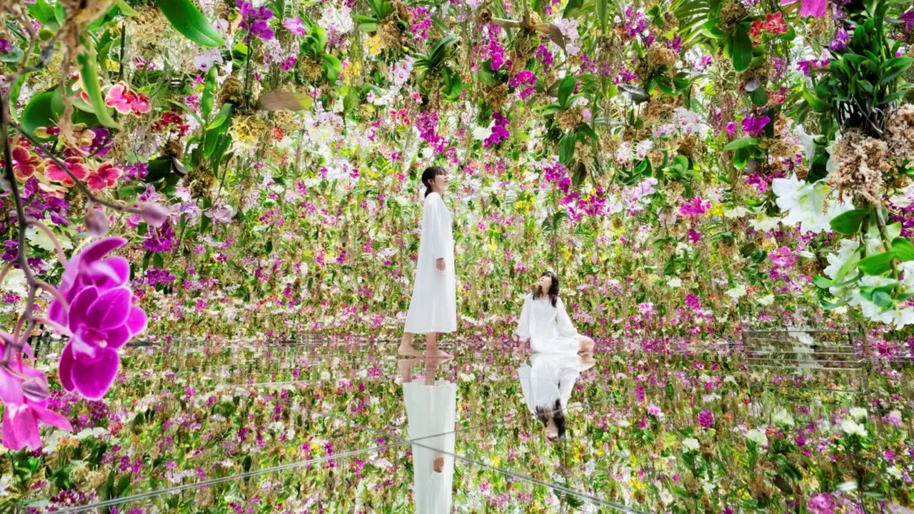 COMBO: Tokyo Skytree + teamLab Planets TOKYO Tickets – Bild 6