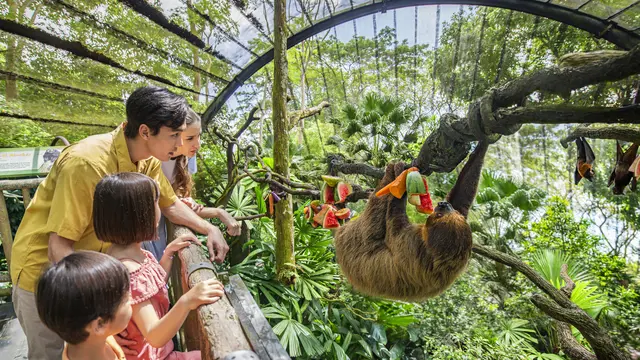 Singapore Zoo Ticket