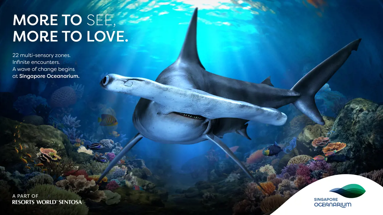 Singapore Oceanarium Ticket – Bild 6
