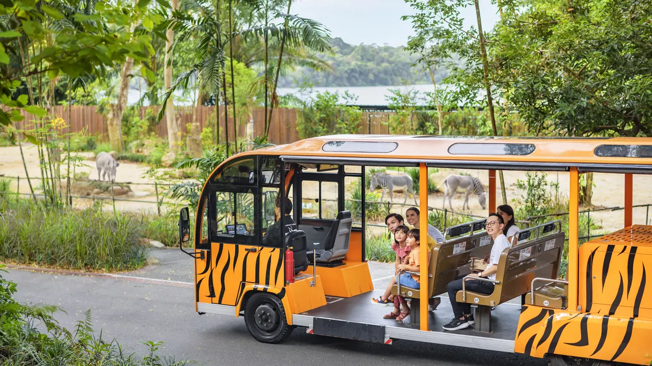 Singapore Zoo Ticket – Bild 2