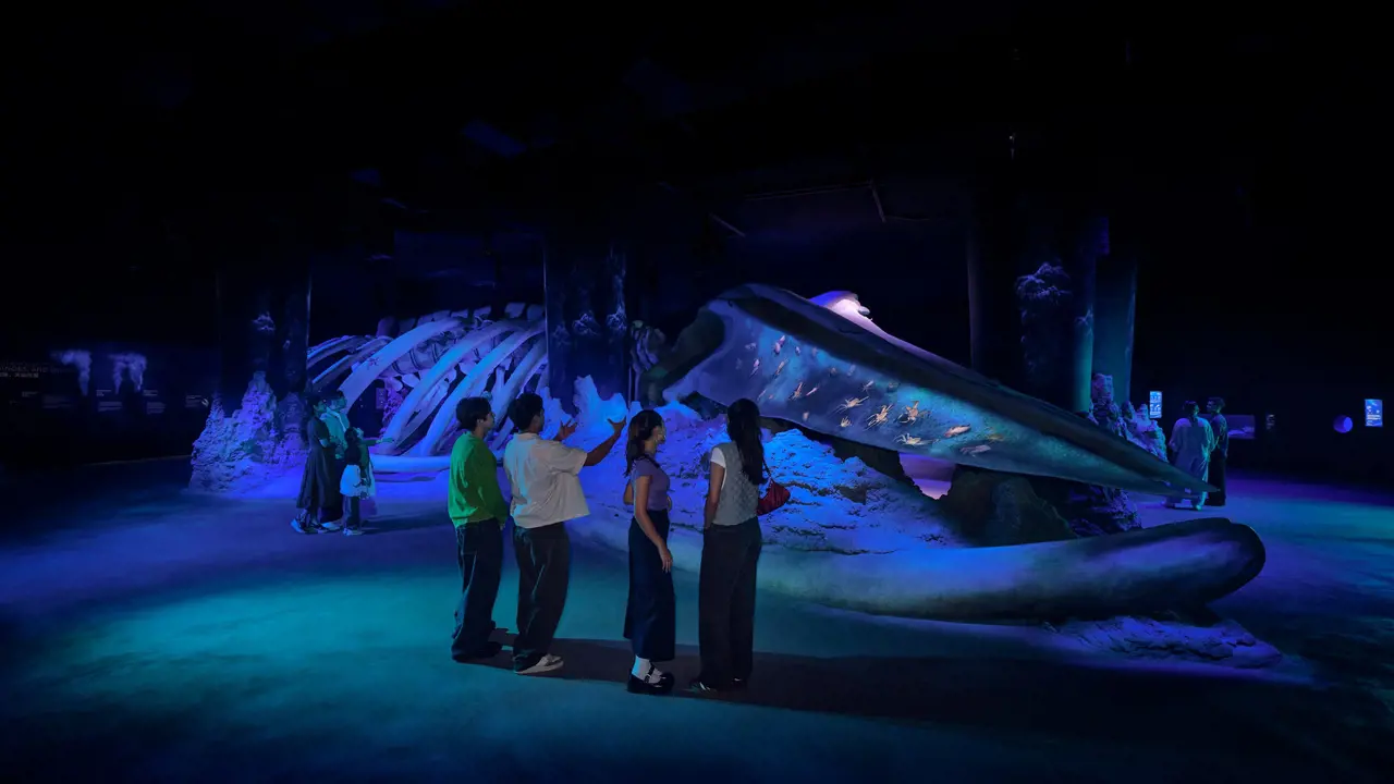 Singapore Oceanarium Ticket – Bild 7