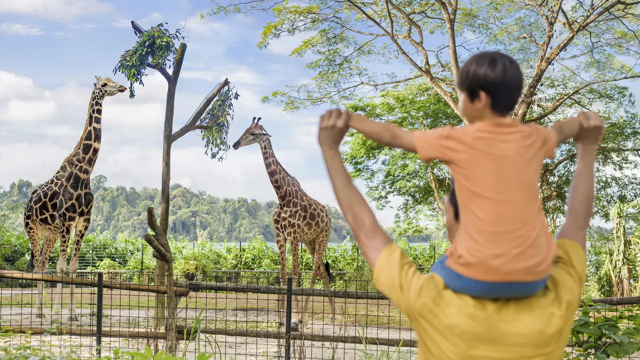 Singapore Zoo Ticket – Bild 3