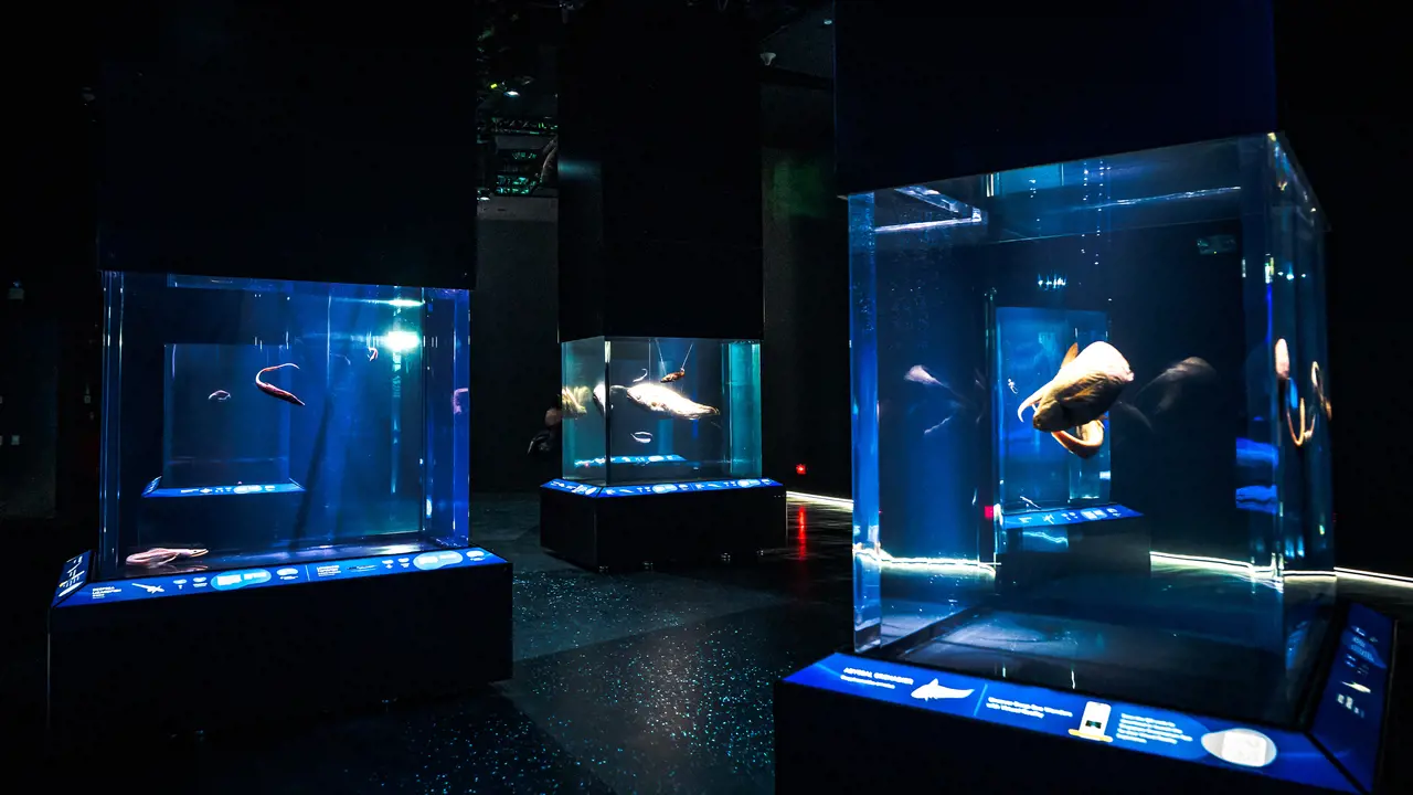 Singapore Oceanarium Ticket – Bild 8