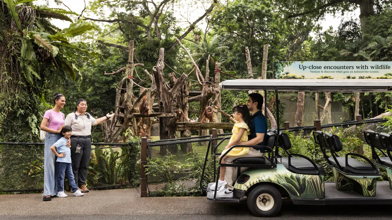 Singapore Zoo Ticket – Bild 4