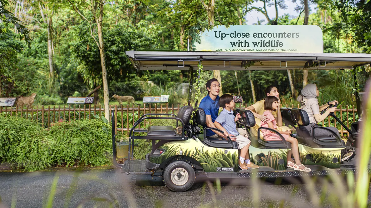 Singapore Zoo Ticket – Bild 6