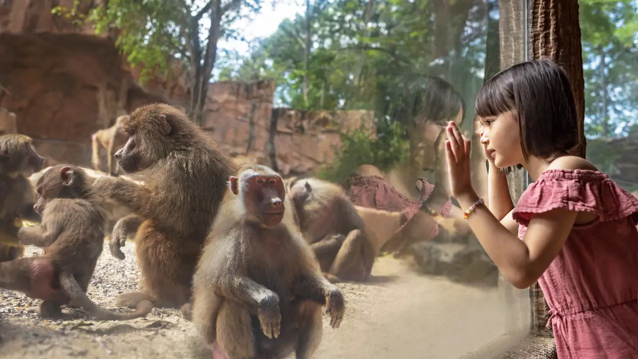 Singapore Zoo Ticket – Bild 8