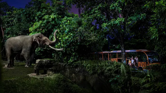 Singapore Night Safari Ticket