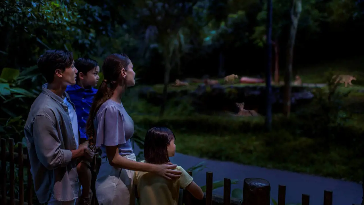 Singapore Night Safari Ticket – Bild 2