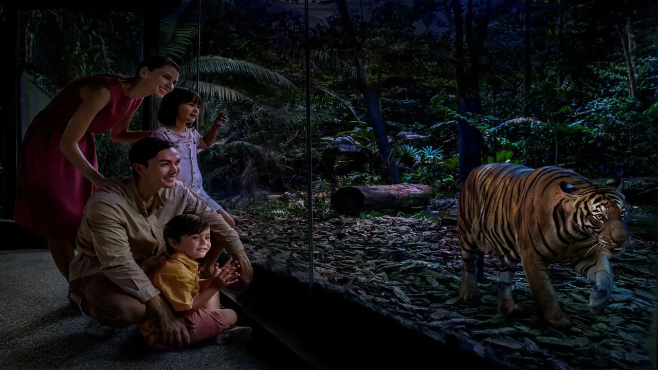 Singapore Night Safari Ticket – Bild 3