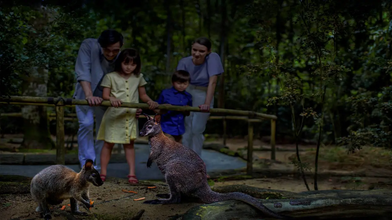 Singapore Night Safari Ticket – Bild 4