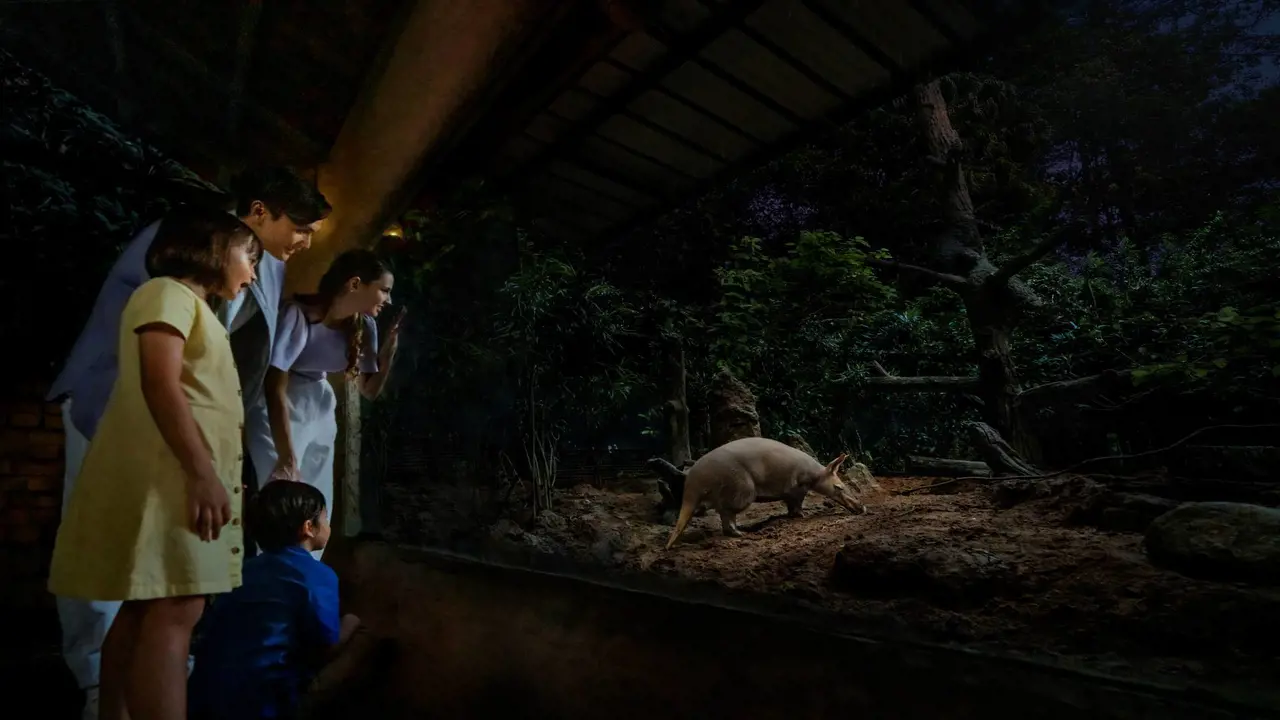 Singapore Night Safari Ticket – Bild 5