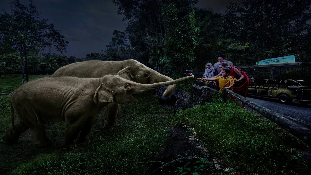 Singapore Night Safari Ticket – Bild 6