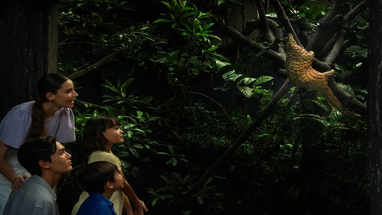 Singapore Night Safari Ticket – Bild 8