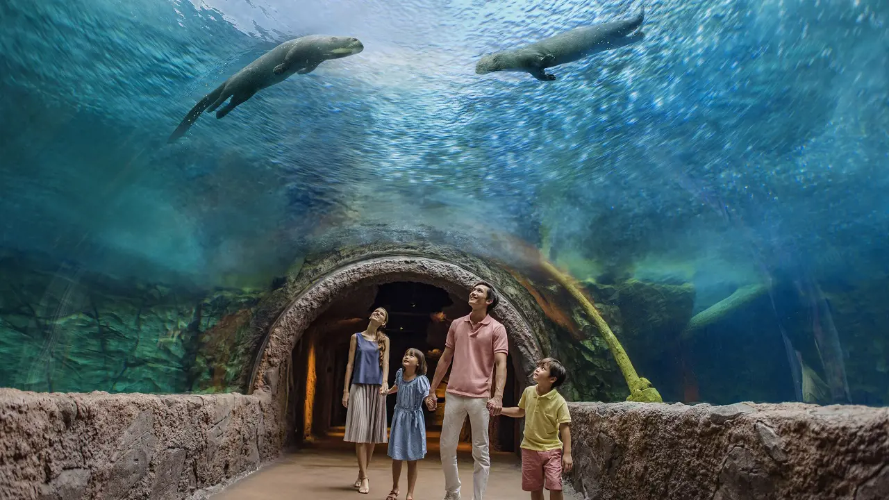 River Wonders Singapore Ticket – Bild 2