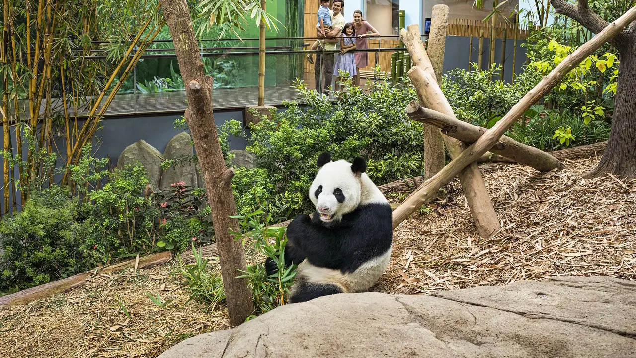 River Wonders Singapore Ticket – Bild 4