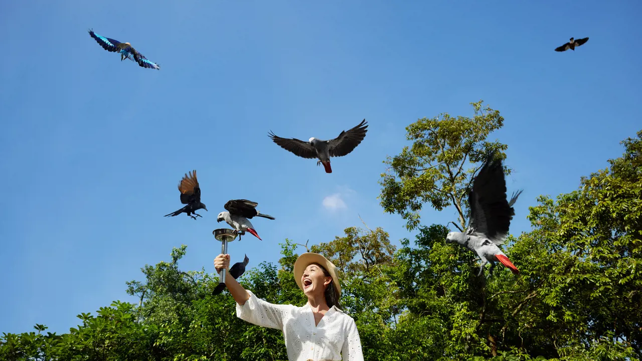 Singapore Bird Paradise Ticket – Bild 5