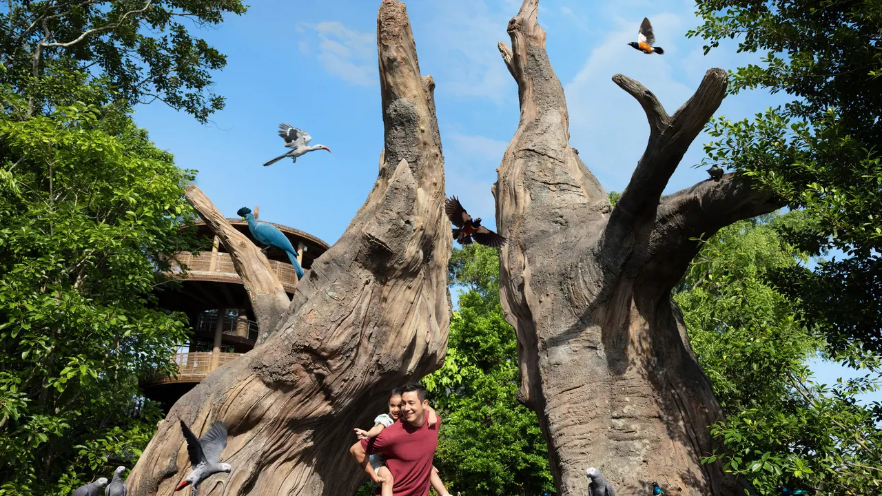 Singapore Bird Paradise Ticket – Bild 6