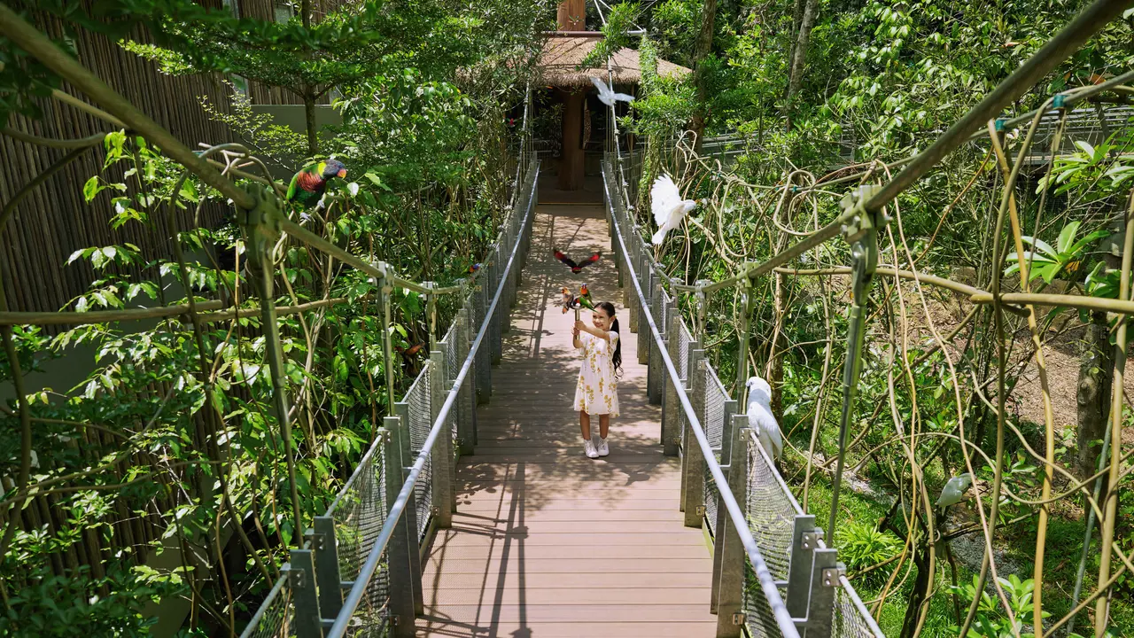 Singapore Bird Paradise Ticket – Bild 7