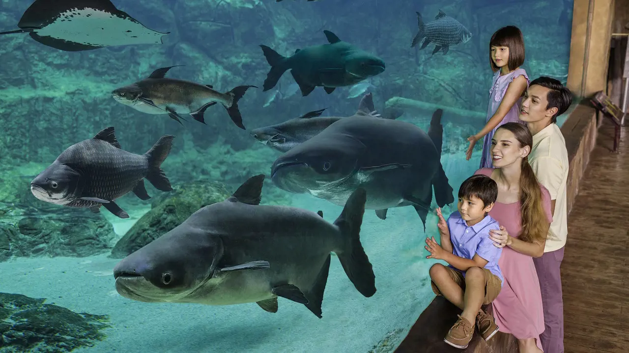 River Wonders Singapore Ticket – Bild 8