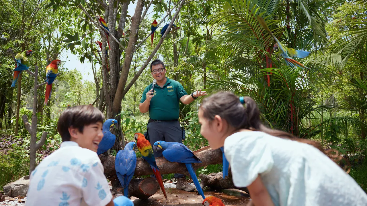 Singapore Bird Paradise Ticket – Bild 8