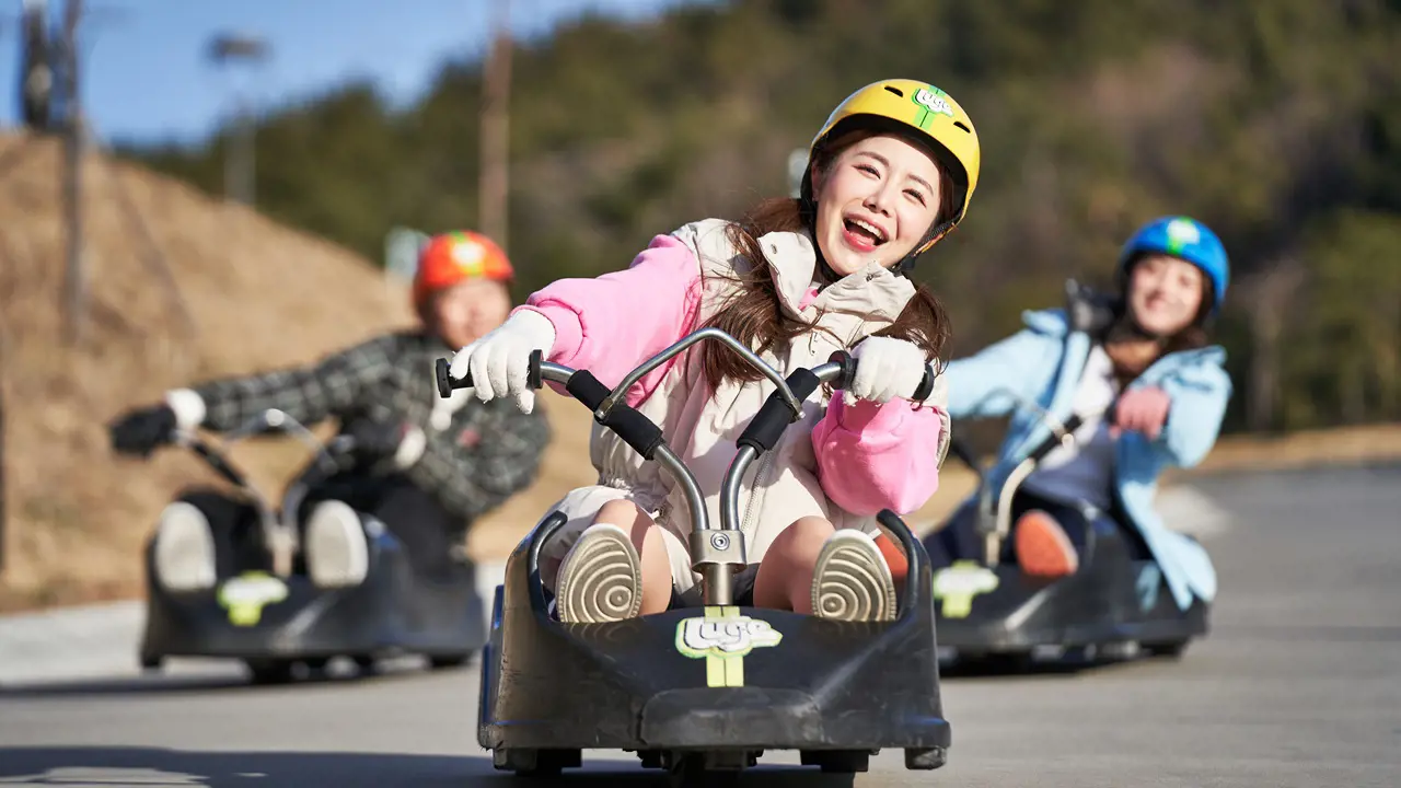 Skyline Luge Busan Ticket – Bild 3