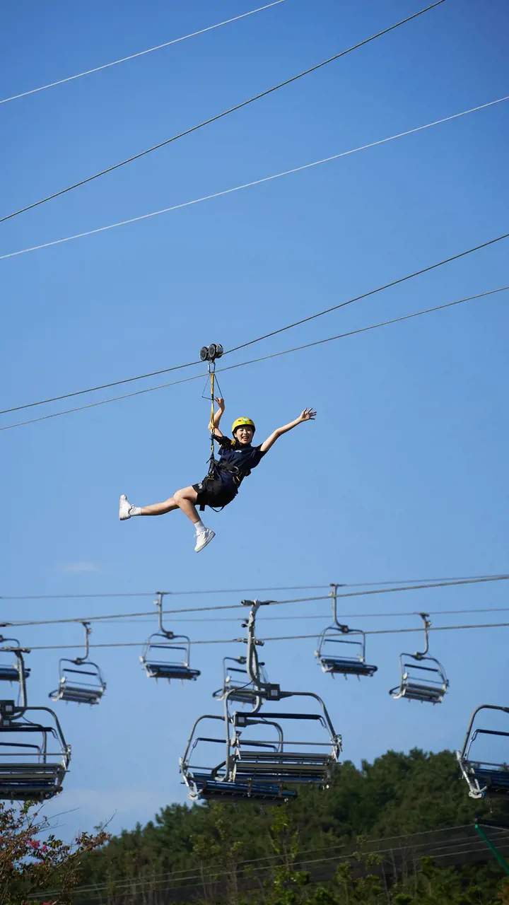 Skyline Luge Busan Ticket – Bild 8