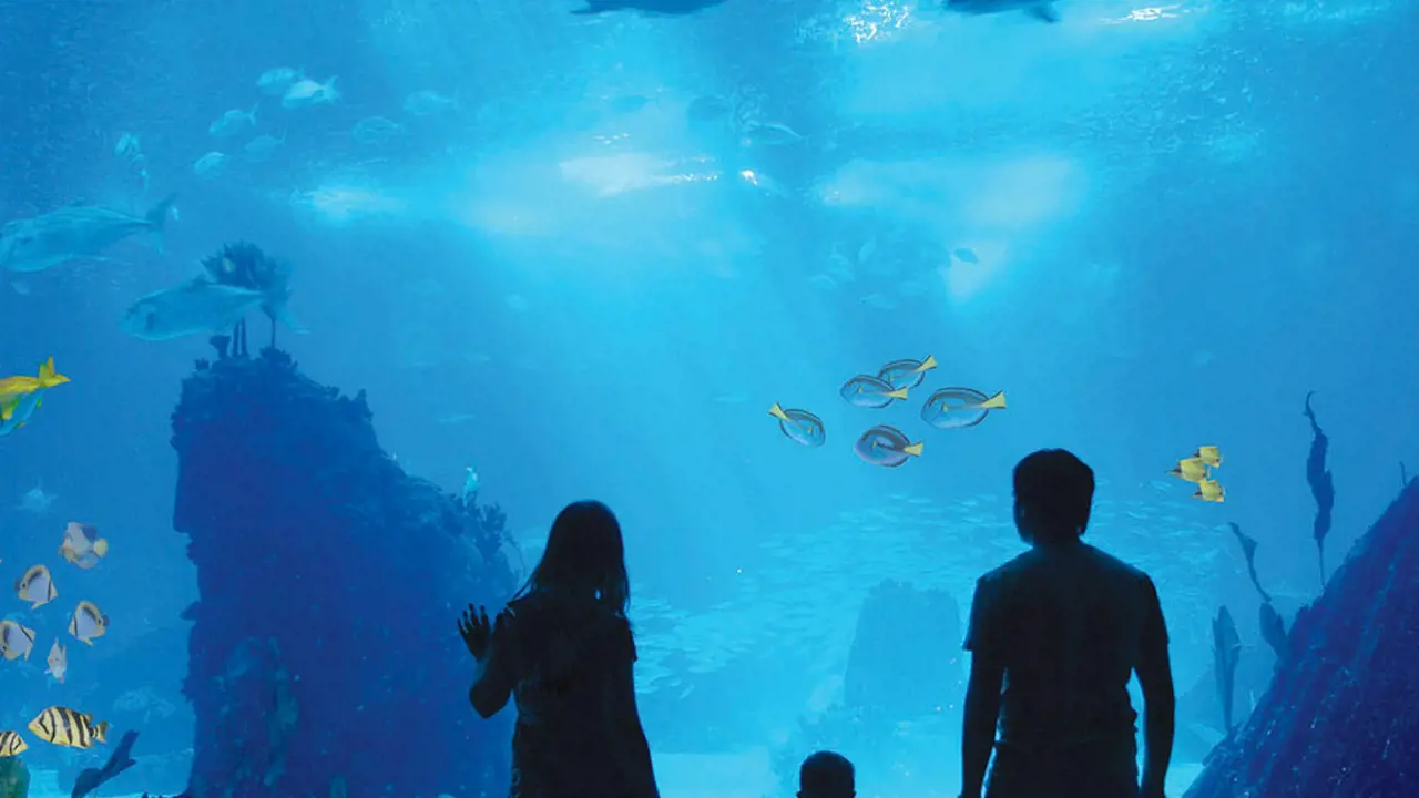 Antalya Aquarium and Face 2 Face Wax Museum Ticket – Bild 2