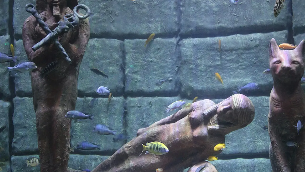 Antalya Aquarium and Face 2 Face Wax Museum Ticket – Bild 4