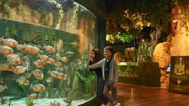 Emaar Aquarium and Underwater Zoo Ticket