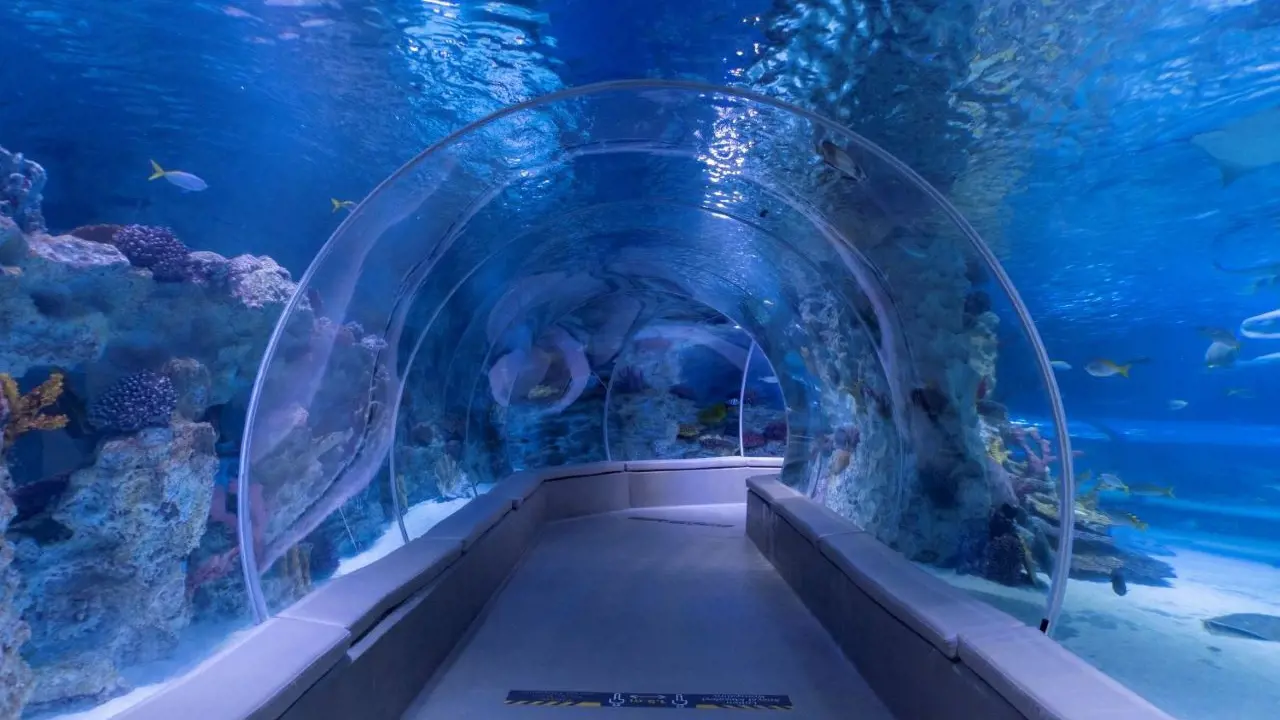 Emaar Aquarium and Underwater Zoo Ticket – Bild 2