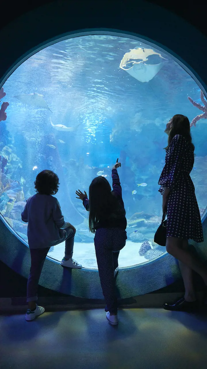 Emaar Aquarium and Underwater Zoo Ticket – Bild 4