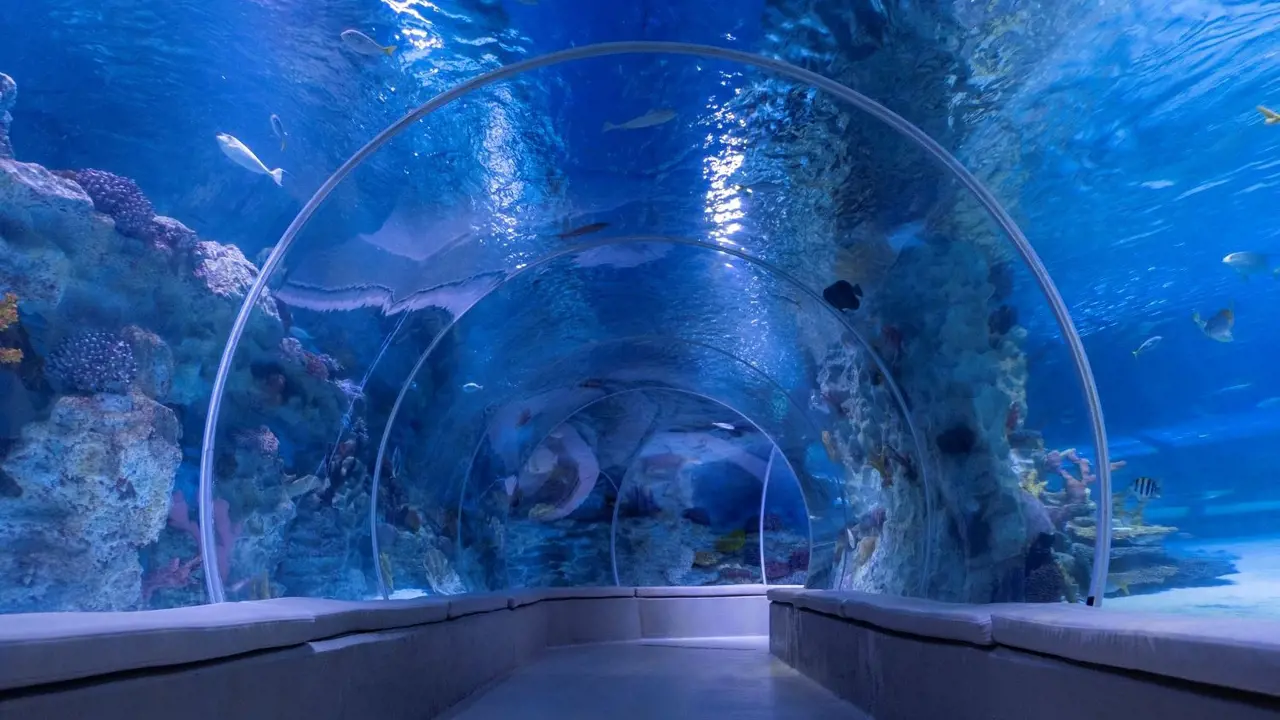 Emaar Aquarium and Underwater Zoo Ticket – Bild 5