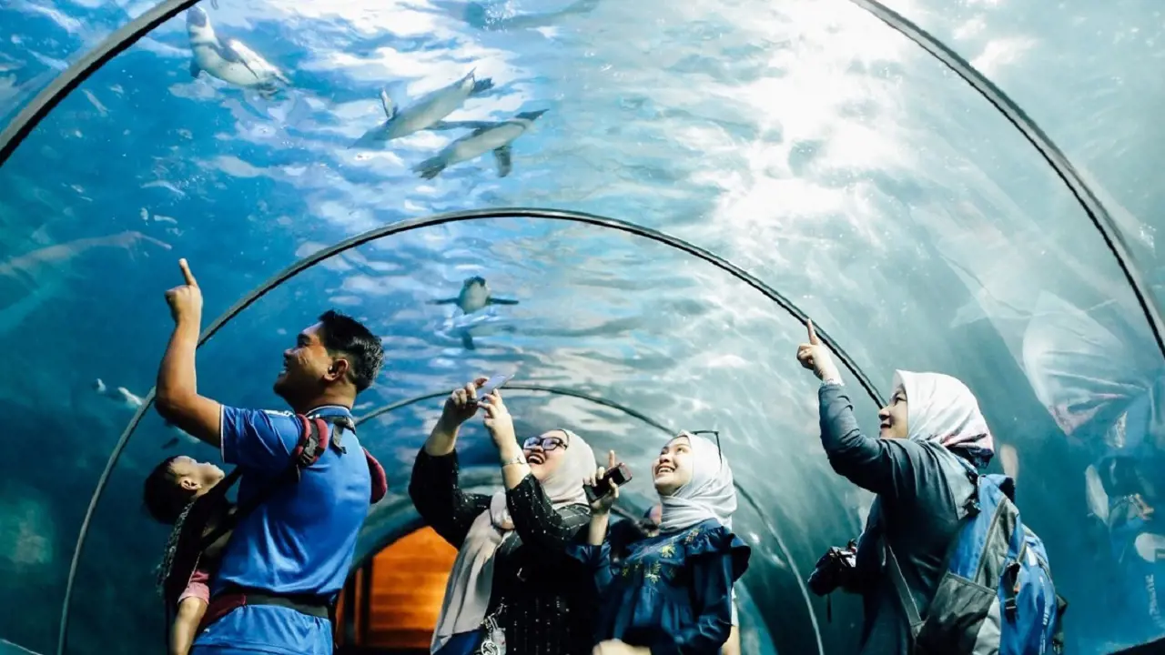 Underwater World Langkawi Ticket – Bild 3