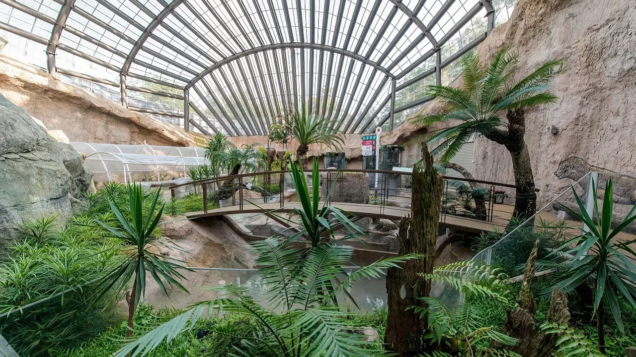Entopia by Penang Butterfly Farm Ticket – Bild 7