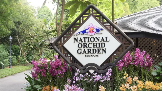 National Orchid Garden Ticket