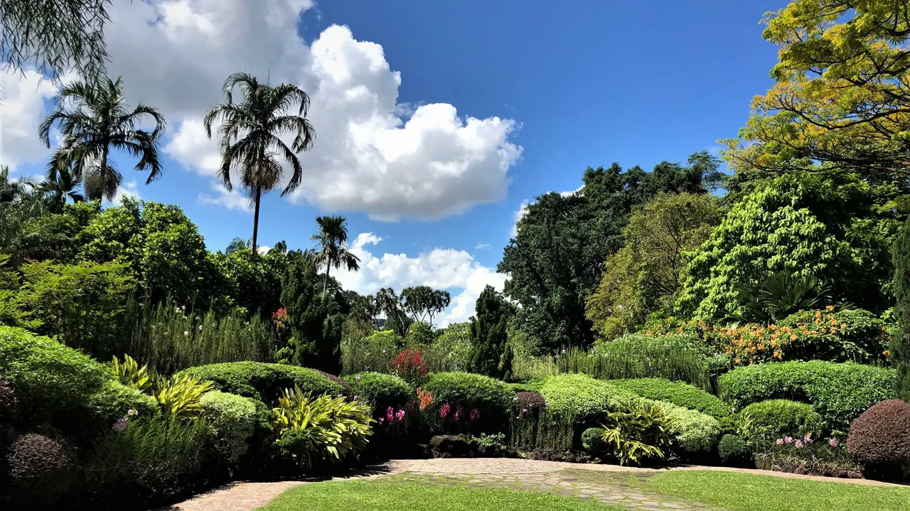 National Orchid Garden Ticket – Bild 2