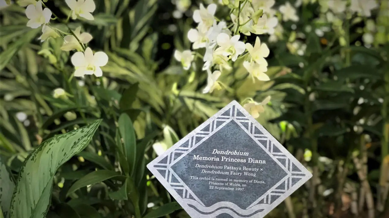 National Orchid Garden Ticket – Bild 3