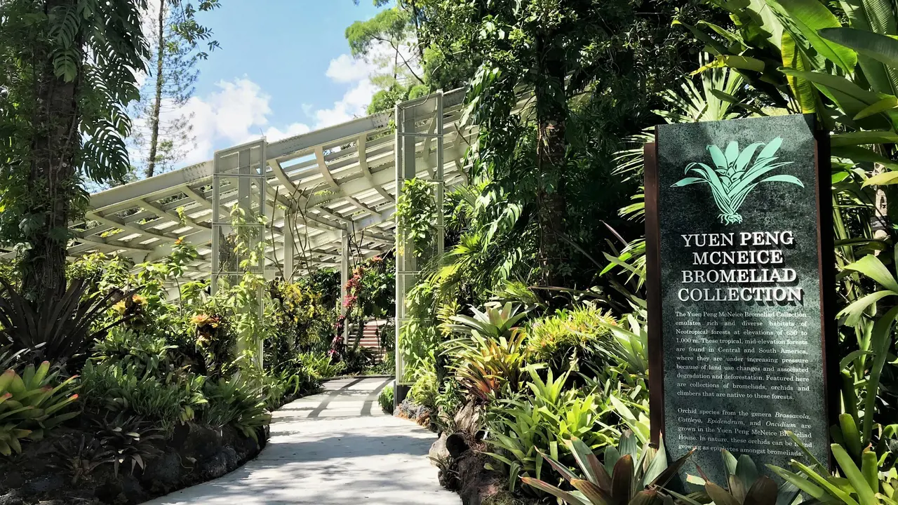 National Orchid Garden Ticket – Bild 6