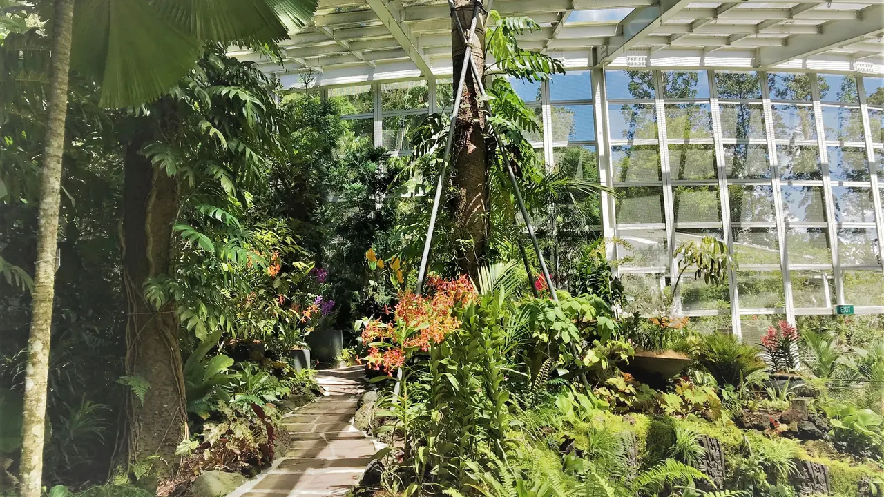 National Orchid Garden Ticket – Bild 7