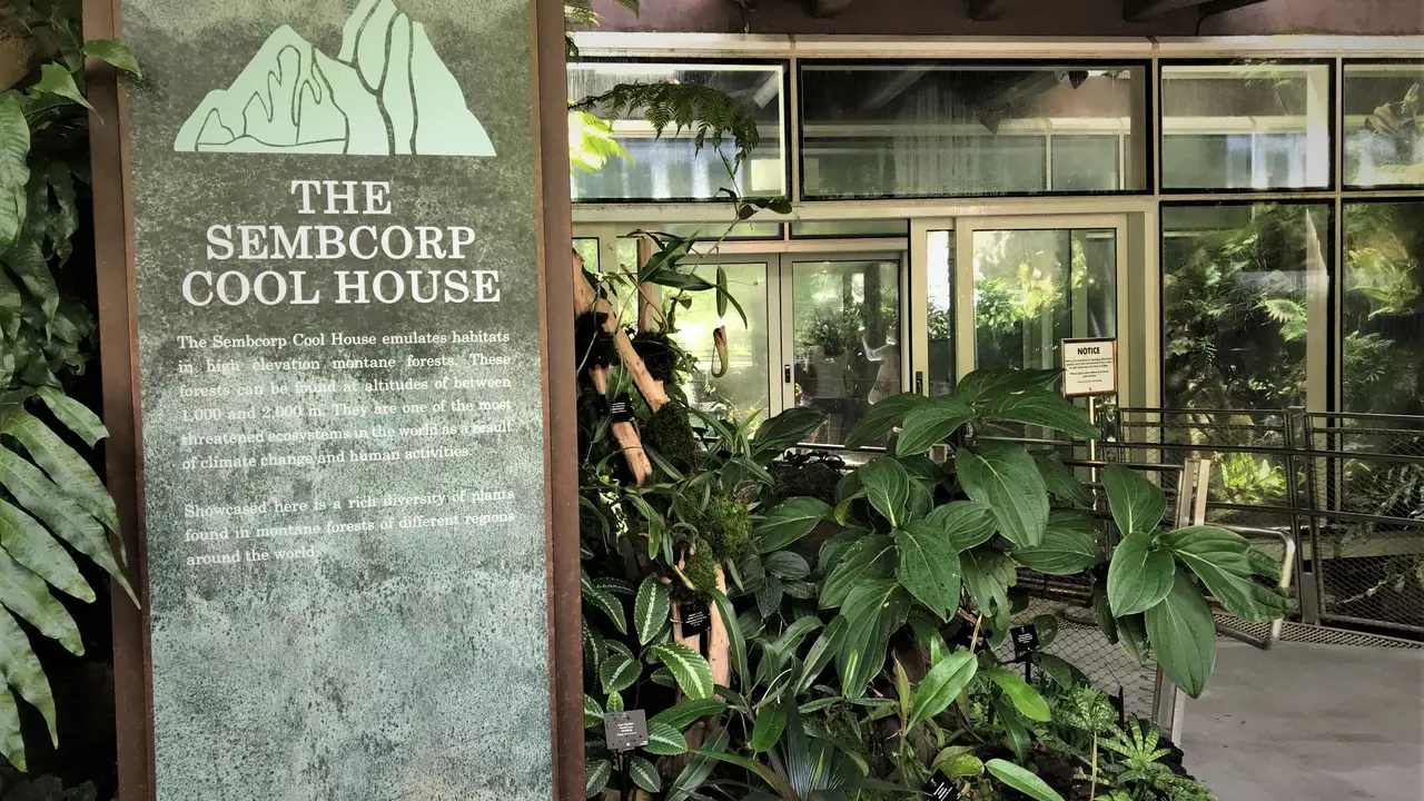 National Orchid Garden Ticket – Bild 8