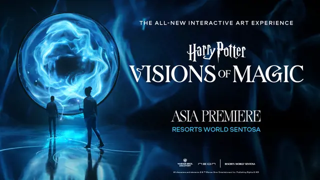 Harry Potter: Visions of Magic